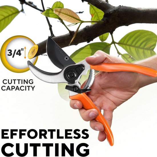 Fruit Tree Pruning Shears - E-Commerce Exclusive Garden Shears for Branches (Factory Direct)