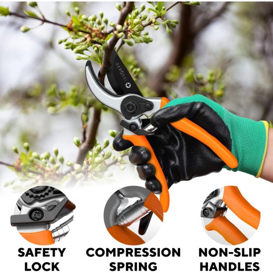 Fruit Tree Pruning Shears - E-Commerce Exclusive Garden Shears for Branches (Factory Direct)